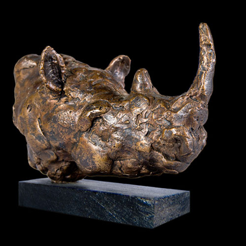 Rhinocéros
